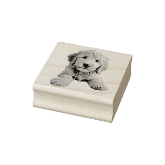 Golden Doodle Puppy Rubberstempel