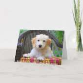 Golden Doodle Puppy Wenskaart Kaart (Achterkant)