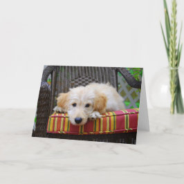 Golden Doodle Puppy Wenskaart Kaart