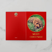 Golden Doodle Red Folie Wenskaart (Buiten Laag)