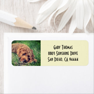 Golden Doodle Retouradreslabels Etiket