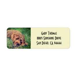 Golden Doodle Retouradreslabels Etiket