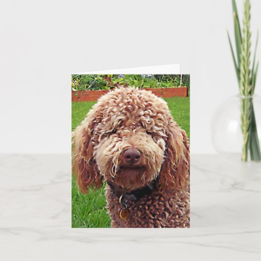 Golden Doodle Stella Kaart (Voorkant)