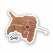 Golden Doodle  Sticker (Voorkant)