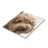 Golden doodle tegeltje (Zijkant)