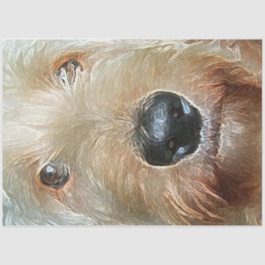 Golden Doodle Tissue Paper voor geschenken en ontk Tissuepapier (Voorkant)