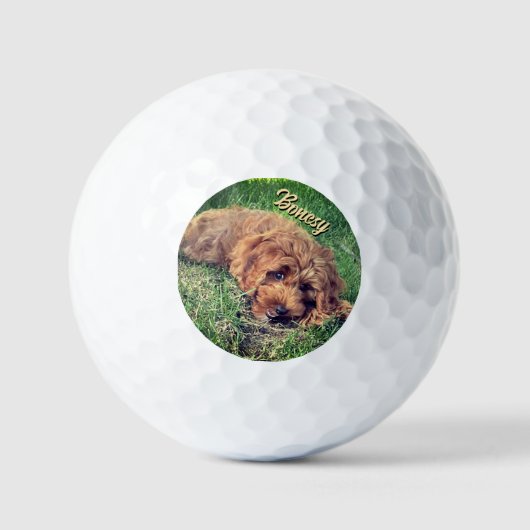 Golden Doodle With Text Golfballen (Voorkant)