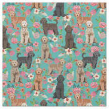 Golden Doodles  florale turquoise