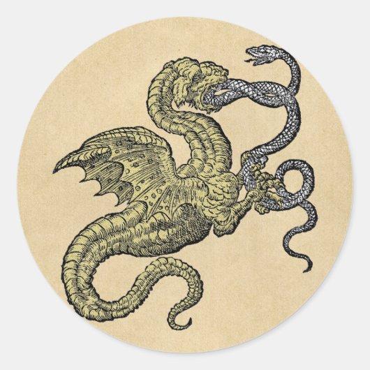 Golden Dragon Fighting Silver Snake Ronde Sticker (Voorkant)