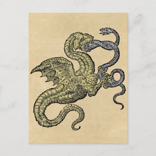 Golden Dragon Fighting Snake Briefkaart (Voorkant)