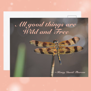 Golden Dragonfly Alle Goede Dingen Wild en Gratis Briefkaart