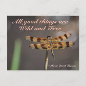 Golden Dragonfly Alle Goede Dingen Wild en Gratis Briefkaart (Voorkant)
