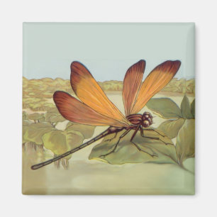 Golden Dragonfly Magneet