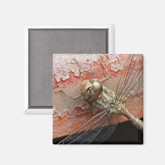 Golden Dragonfly Magnet (Voorkant / Achterkant)