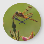 Golden Dragonfly op groen Grote Klok (Voorkant)