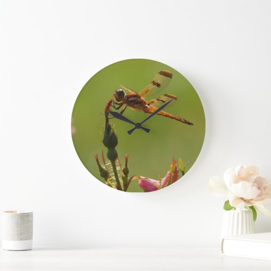 Golden Dragonfly op groen Grote Klok (Huis)