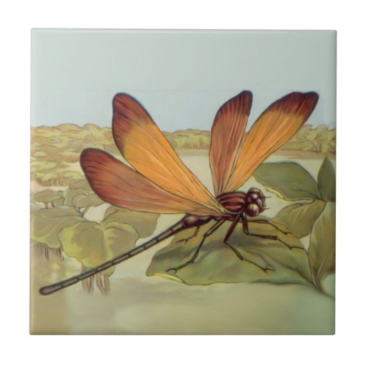 Golden Dragonfly Tegeltje (Voorkant)