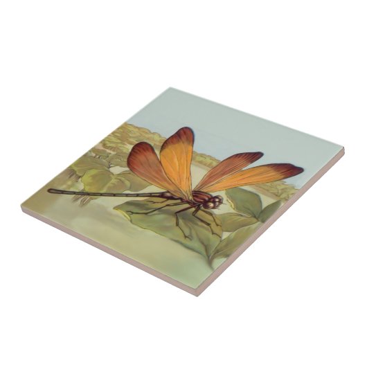 Golden Dragonfly Tegeltje (Zijkant)