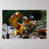 Golden Dragons Nest Poster (Voorkant)