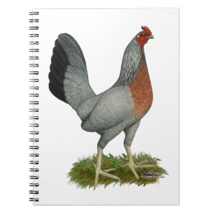 Golden Duckwing Hen Notitieboek