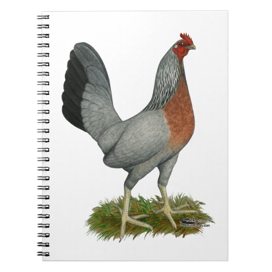 Golden Duckwing Hen Notitieboek (Voorkant)
