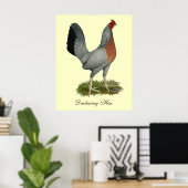 Golden Duckwing Hen Poster (Thuiskantoor)