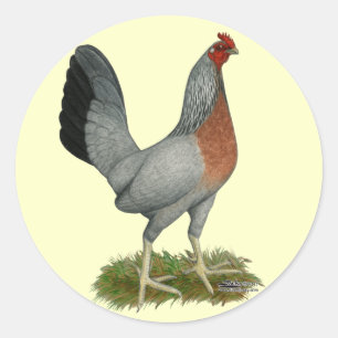Golden Duckwing Hen Ronde Sticker