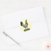 Golden Duckwing Hen Ronde Sticker (Envelop)