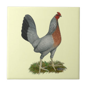 Golden Duckwing Hen Tegeltje