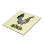 Golden Duckwing Hen Tegeltje (Zijkant)