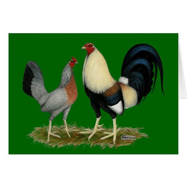 Golden Duckwing Kippen (Voorkant Horizontaal)