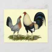 Golden Duckwing Kippen Briefkaart (Voorkant)