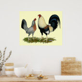 Golden Duckwing Kippen Poster (Keuken)
