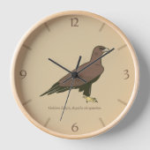 Golden Eagle (Voorkant)