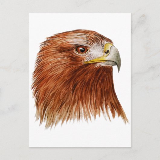 Golden Eagle 2011 Briefkaart (Voorkant)