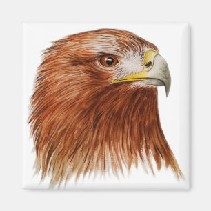Golden Eagle 2011 Magneet