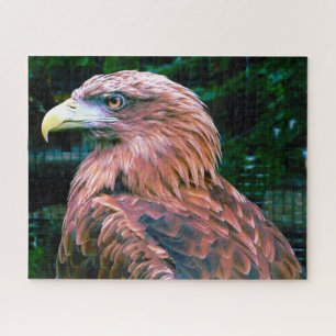 Golden Eagle Bird of Prey. Jigzaag Puzzle Legpuzzel