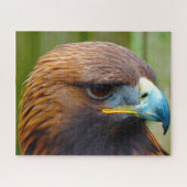Golden Eagle Bird of Prey. Legpuzzel (Horizontaal)