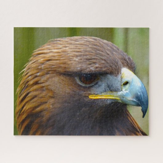 Golden Eagle Bird of Prey. Legpuzzel (Horizontaal)