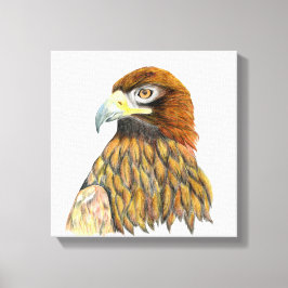 Golden Eagle Bird Waterverf Painting Canvas Afdruk