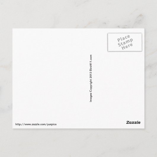 Golden Eagle Briefkaart (Achterkant)