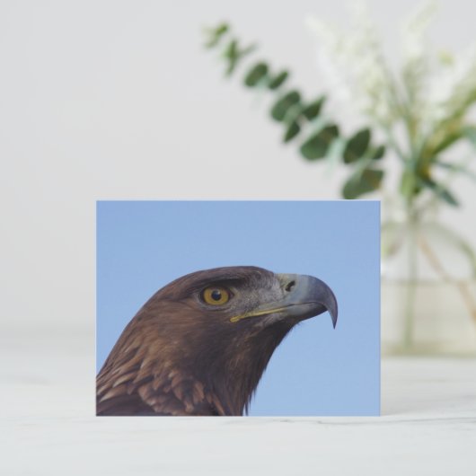 Golden eagle briefkaart (Staand voorkant)