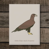 Golden Eagle Briefkaart
