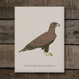 Golden Eagle Briefkaart