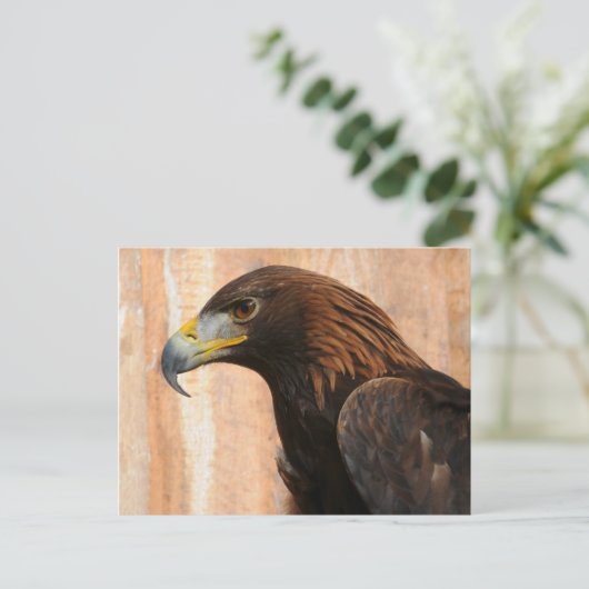 Golden Eagle Briefkaart (Staand voorkant)