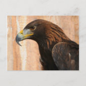 Golden Eagle Briefkaart (Voorkant)