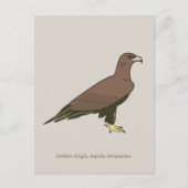 Golden Eagle Briefkaart (Voorkant)
