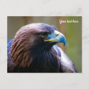 Golden Eagle-Briefkaart Briefkaart