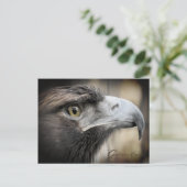Golden Eagle:Briefkaart Briefkaart (Staand voorkant)