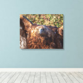 Golden eagle canvas afdruk (Insitu (Houten vloer))